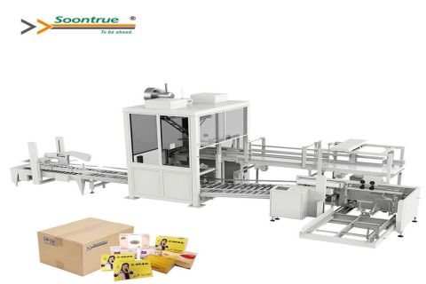 Automatic Case Packer Machine For Facial Tissue ZX660B